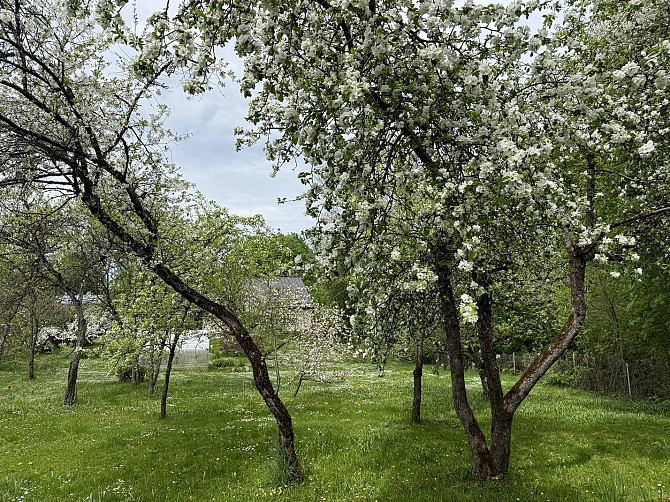 Saistībā ar pārvākšanos īpašnieks pārdod labiekārtotu zemes gabalu pašā Siguldas centrā, netālu... Sigulda - foto 8