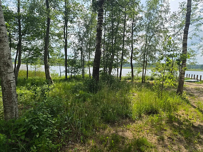 Pārdod skaistu, ainavisku zemes vienību Talsu novadā, Ārlavas pagastā ar skanīgu nosaukumu "Cerību l Талси и район - изображение 1