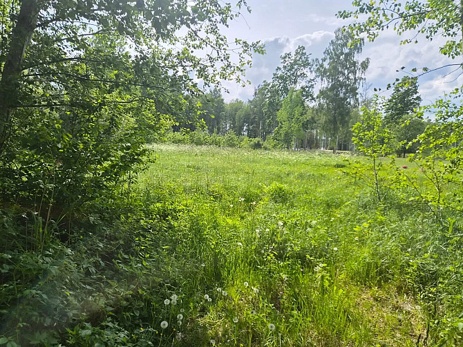 Pārdod skaistu, ainavisku zemes vienību Talsu novadā, Ārlavas pagastā ar skanīgu nosaukumu "Cerību l Талси и район - изображение 4