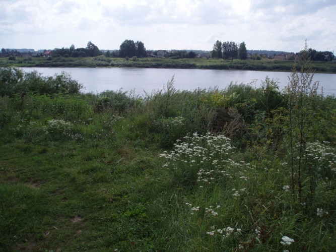 Pārdod zemes gabalu 2.28 ha platībā Daugavas krastā. Saskaņā ar attīstības plānu zemes Rīga - foto 5