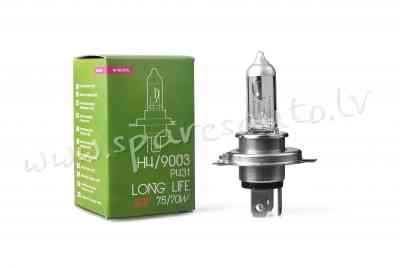 PTXLL4 - H4 Powertec Long Life H4 24V - Spuldzite - UNSORTED HALOGĒNA SPULDZES Rīga