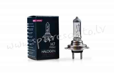 Z979 - H7 M-TECH Halogen bulb PX26d H7 24V/100W - Spuldzite - UNSORTED HALOGĒNA SPULDZES Rīga