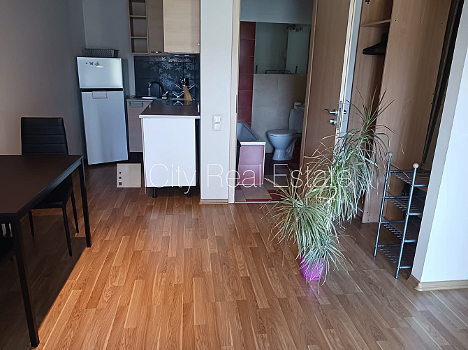 Fasādes māja, renovēta māja, labiekārtota apzaļumota teritorija, vieta automašīnai, ir Rīga - foto 7