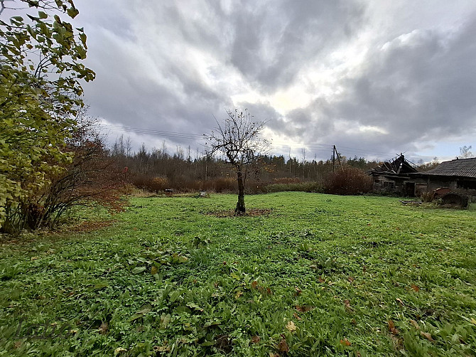 Pārdod lauku īpašumu Vidzemē, Limbažu novadā ar savu ezeru.
Pārdošanā īpašs un Limbaži un novads - foto 4