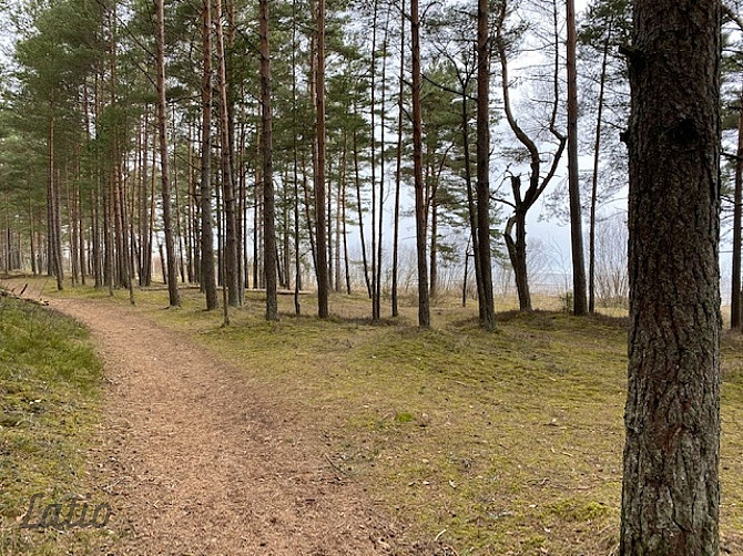 Tiek pārdots ekskluzīvs zemes gabals ļoti skaistā vietā jūras tuvumā savrupmājas Jūrmala - foto 4
