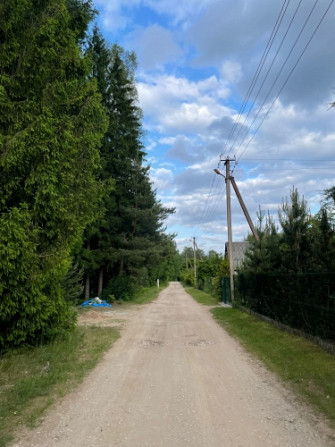Tiek pārdoti 2 zemesgabali meža ielokā.   Nr 195, 678 m2 - 9300 EUR Nr 196, 721 m2 - 9800 EUR Olaine - foto 7