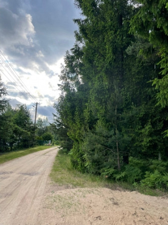 Tiek pārdoti 2 zemesgabali meža ielokā.   Nr 195, 678 m2 - 9300 EUR Nr 196, 721 m2 - 9800 EUR Olaine - foto 8