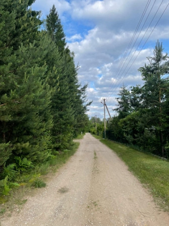 Tiek pārdoti 2 zemesgabali meža ielokā.   Nr 195, 678 m2 - 9300 EUR Nr 196, 721 m2 - 9800 EUR Olaine - foto 1