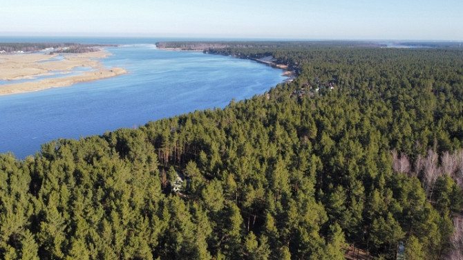 Piedāvājumā zemes gabals skaistā, klusā, priežu meža ieskautā vietā,  Lielupes krastā, Jūrmala - foto 8