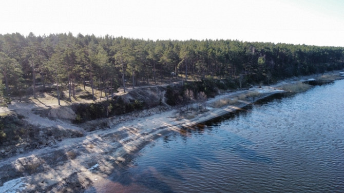 Piedāvājumā zemes gabals skaistā, klusā, priežu meža ieskautā vietā,  Lielupes krastā, Jūrmala - foto 2