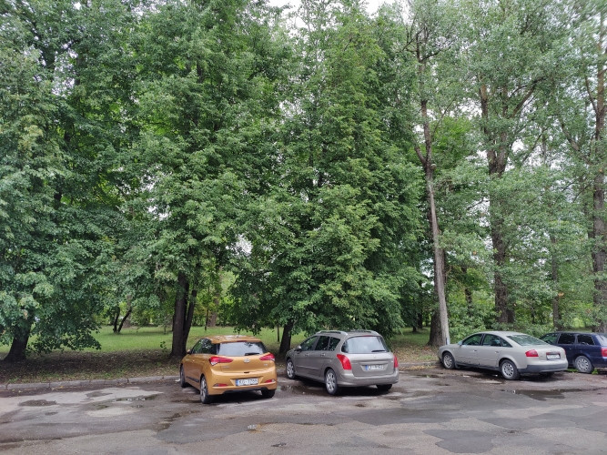 Pārdod 4 stāvu biroju ēku ar zemi 0.6350 ha.  Īpašumā ietilpst: (C) Buļļu iela 70a - parks Rīga - foto 7