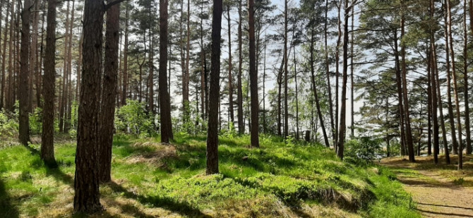 Piedāvājumā zemes gabals skaistā, klusā, priežu meža ieskautā vietā Lielupes krasta Jūrmala - foto 6