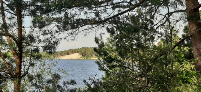 Piedāvājumā zemes gabals skaistā, klusā, priežu meža ieskautā vietā Lielupes krasta Jūrmala - foto 1