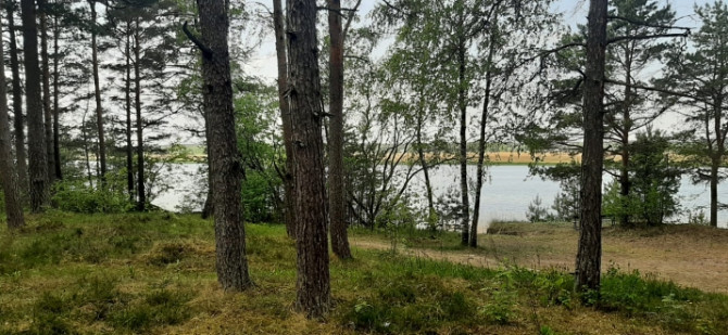 Piedāvājumā zemes gabals skaistā, klusā, priežu meža ieskautā vietā Lielupes krasta Jūrmala - foto 7