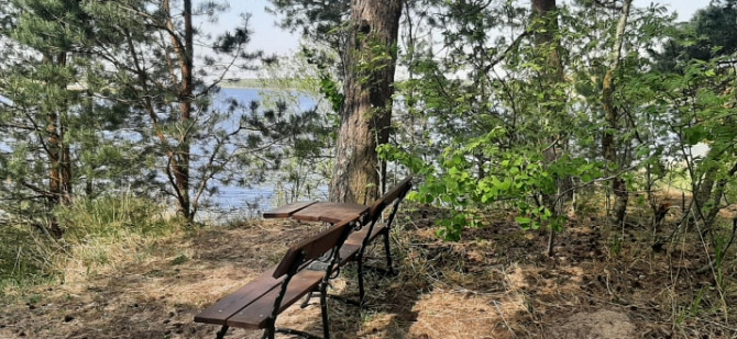 Piedāvājumā zemes gabals skaistā, klusā, priežu meža ieskautā vietā Lielupes krasta Jūrmala - foto 4