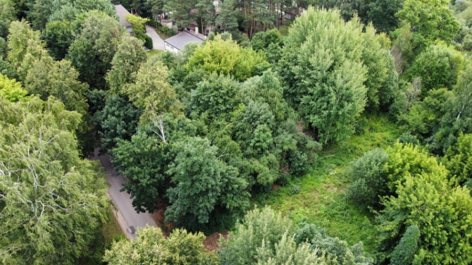 Pārdod plašu zemes gabalu Mežaparkā. Tieši pie Visbijas prospekta, blakus ir pieejamas visas Rīga - foto 5