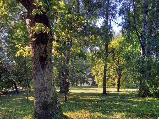 Land Plot in a green and quiet area of Šampēteris  at the Corner of Astras and Plēsuma Streets. The  Рига - изображение 5