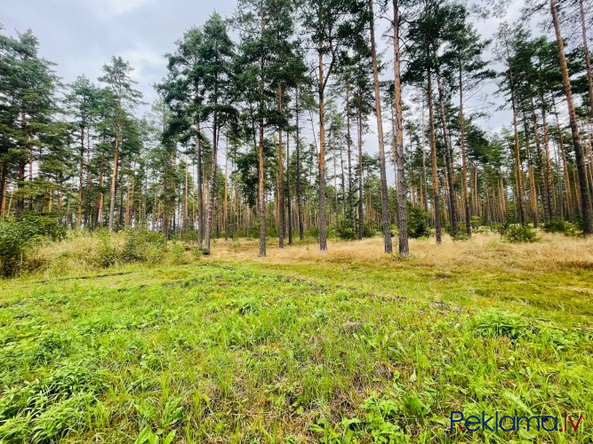 Biroja telpas Centrā, renovētā ēkā.  Telpu plānojumu un apdare tiek piemērota nomnieka vajadzībām.   Рига - изображение 9