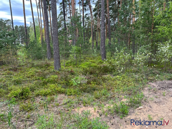 Ekskluzīva Ulmaņlaika mūra ēka.   Gaumīgs puspagraba stāvs ar Open plānojumu: 100.1 m2; 1. Rīga - foto 6