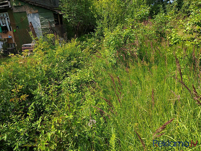 Pārdod saulainu zemes gabalu, normāli kaimiņi ar sakoptiem īpašumi. Rīgas rajons - foto 11