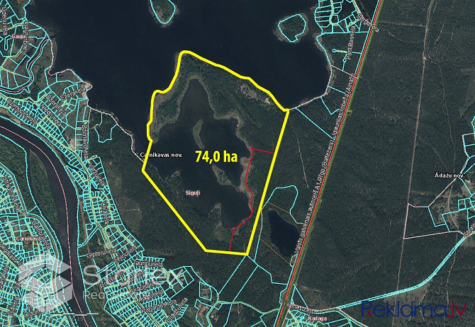 Эксклюзивный земельный участок площадью 74 га состоящий из озера и соснового Рижский район - изображение 4