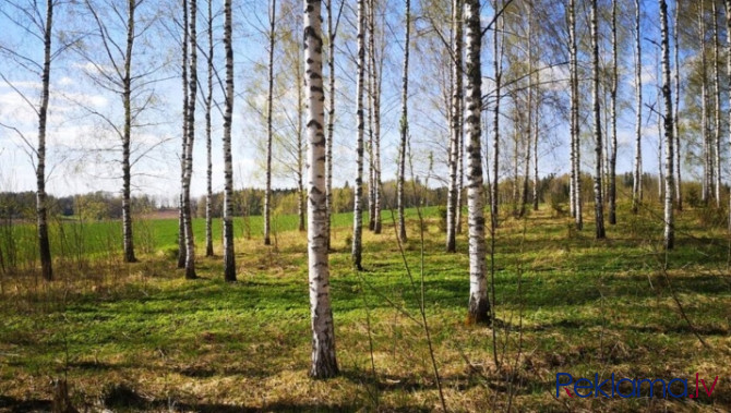 Skaists zemes gabals vienas saimniecības būvniecībai.  Zemi dēļ gāzes krātuves Rīgas rajons - foto 11