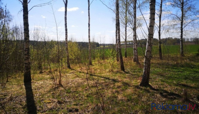 Skaists zemes gabals vienas saimniecības būvniecībai.  Zemi dēļ gāzes krātuves Rīgas rajons - foto 14