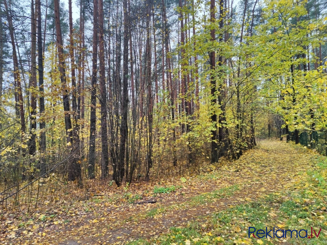 Gruntsgabals ar mežu privātmājas būvniecībai Berģos.   Zemes gabals ir ar reljefu un apaudzis Rīga - foto 7