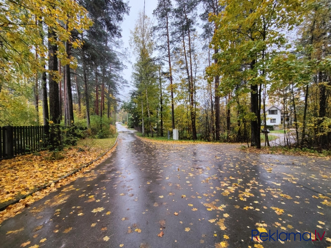 Gruntsgabals ar mežu privātmājas būvniecībai Berģos.   Zemes gabals ir ar reljefu un apaudzis Rīga - foto 9