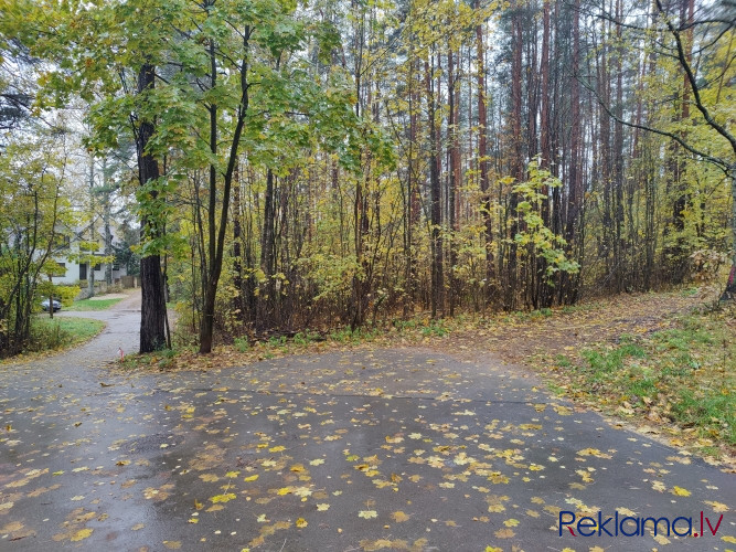 Gruntsgabals ar mežu privātmājas būvniecībai Berģos.   Zemes gabals ir ar reljefu un apaudzis Rīga - foto 11