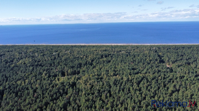 Iegādei pieejams plašs zemesgabals, ar kopējo platību 50 392 m2  Mangaļu pussalā.  Lieliska Rīga - foto 17