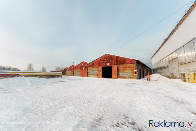 Noliktava Nr.21 industriālā teritorijā Braslas ielā 24.  Metāla angārs ar vienu lielu telpu Rīga - foto 20