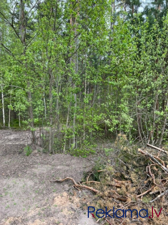 Pārdod Strazdu muižu ar parku.  Koka 2 stāvu ēkā ar pagrabu kādreiz atradās bibliotēka, bet Rīga - foto 2