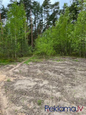 Grezns, gaišs birojs.  Citadeles un Muitas ielu krustojums, ar ieeju no Citadeles ielas.  Ēkas 3. Rīga - foto 4