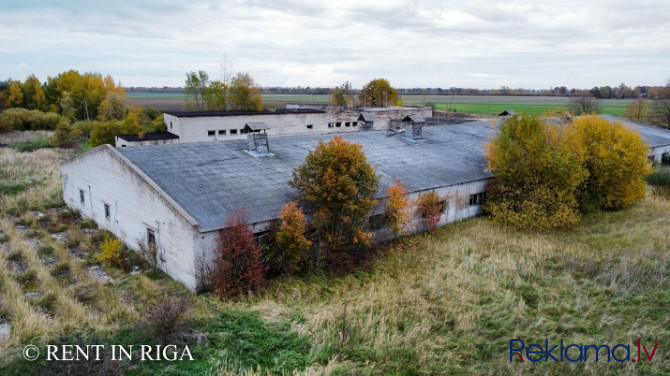Продается сельскохозяйственный-производственный земельный участок в Lielplatone. Елгава и Елгавский край - изображение 3