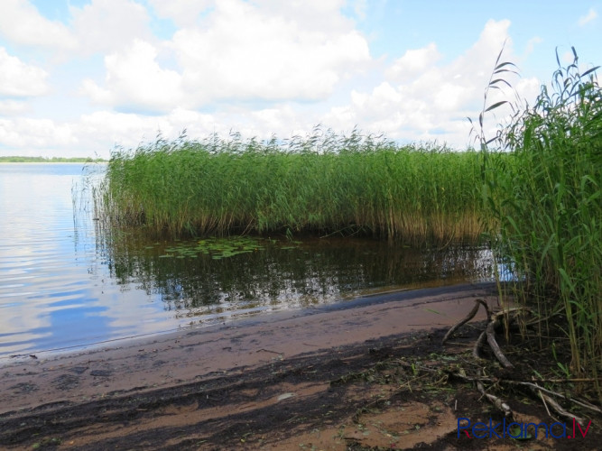 Neskarts dabas stūrītis Daugavas kreisajā krastā.   Piedāvājumā  zemes gabals ar krasta Ogre un Ogres novads - foto 4