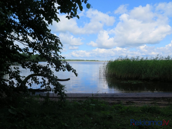Neskarts dabas stūrītis Daugavas kreisajā krastā.   Piedāvājumā  zemes gabals ar krasta Ogre un Ogres novads - foto 3