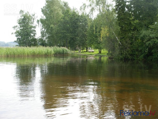 Neskarts dabas stūrītis Daugavas kreisajā krastā.   Piedāvājumā  zemes gabals ar krasta Ogre un Ogres novads - foto 10