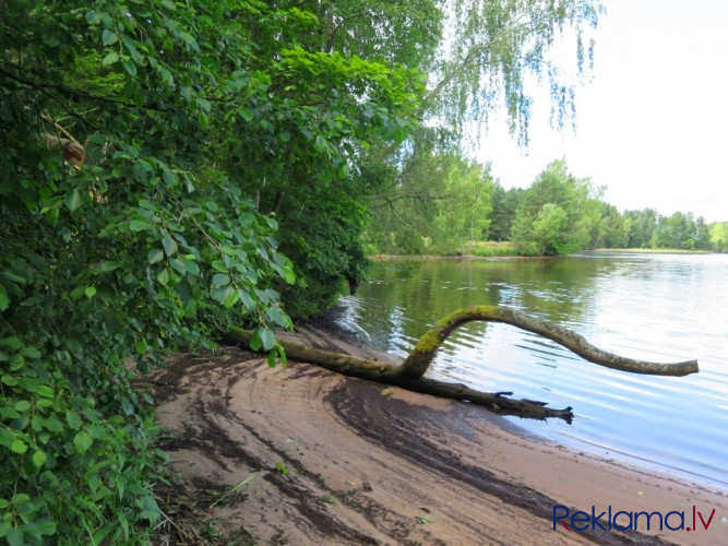 Neskarts dabas stūrītis Daugavas kreisajā krastā.   Piedāvājumā  zemes gabals ar krasta Ogre un Ogres novads - foto 2