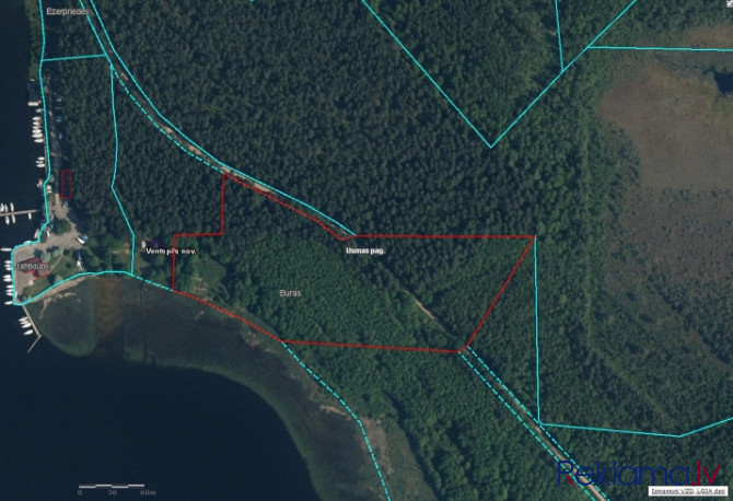 Tiek pārdots meža teritorijas zemesgabals pie Usmas Ezera krastā.   Platība: 30000m Apbūves Ventspils un Ventspils novads - foto 18