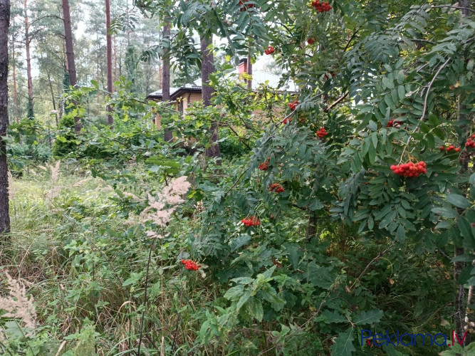 Pārdod apbūves zemi Garkalnes pagasta Sunīšos Ezerkrasta ciematā, kas atrodas Sunīšu ezera Rīgas rajons - foto 13