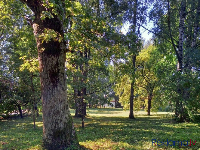 Zemes gabals zaļā un klusā vietā Šampēterī - Astras un Plēsuma ielu stūrī.  Apkārtnē Rīga - foto 14