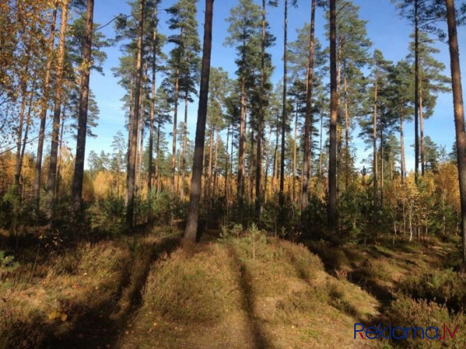 Iznomā tirdzniecības telpas Pļavniekos Lubānas un Piedrujas ielu rajonā.  Telpas atrodas Rīga - foto 5