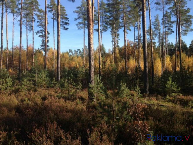 Tiek pārdots zemes gabals privātmājas, vairāku privātmāju, ciemata vai viesnīcas Ādažu novads - foto 9