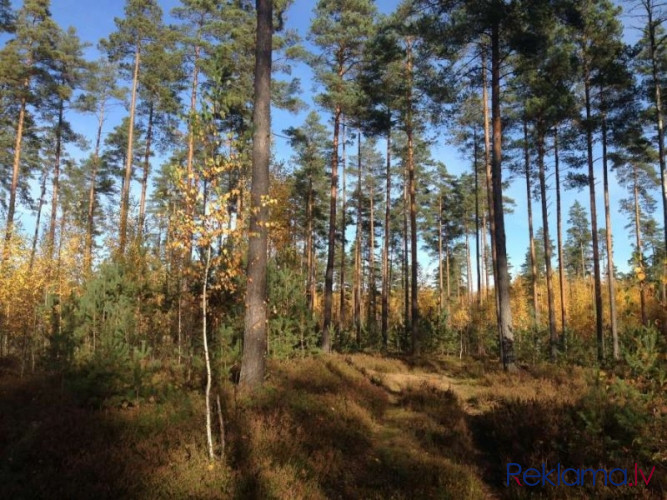 Tiek pārdots zemes gabals privātmājas, vairāku privātmāju, ciemata vai viesnīcas Ādažu novads - foto 3