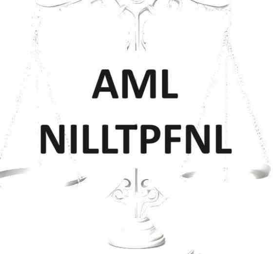 Nilltpfn / Aml un Citu Dokumentu Sagatavošana LV RU Eng (3 Valodās) Рига