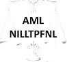 Nilltpfn / Aml un Citu Dokumentu Sagatavošana LV RU Eng (3 Valodās)