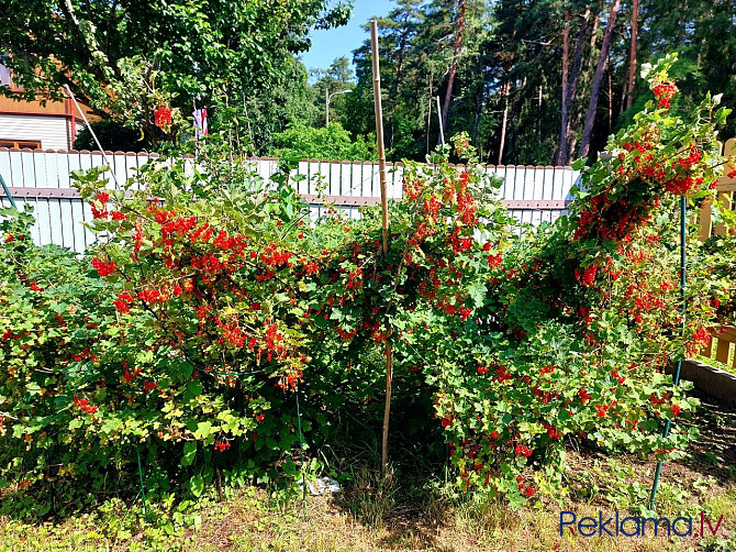 Дом в Юрмале, в Дзинтари Jūrmala - foto 12