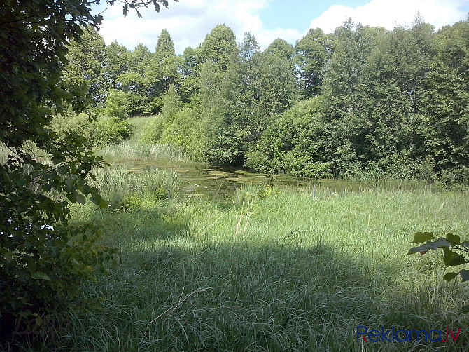 5.8 hektārus plašs zemes gabals lauksaimniecībai tuvumā dīķim un upei. Tikai 4 kilometru Ogre un Ogres novads - foto 9