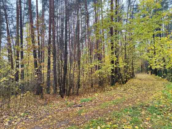 Земельный участок с лесными домами для частного строительства в Бергах. Rīga